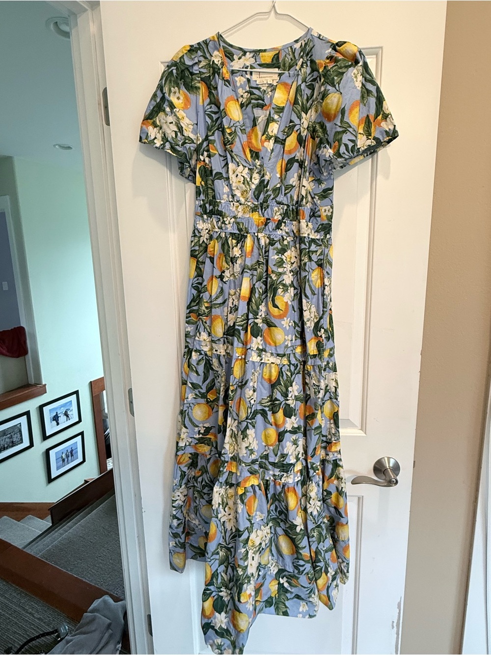 Anthropologie Summerset Blue Lemon Print Maxi Dress - Women